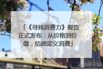《寻找消费力》报告正式发布：从价格到价值，情感定义消费