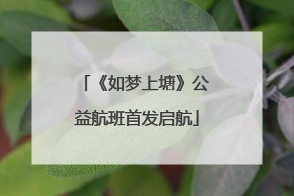 《如梦上塘》公益航班首发启航