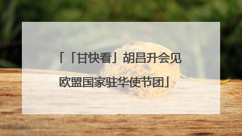 「甘快看」胡昌升会见欧盟国家驻华使节团