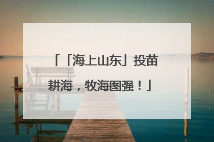 「海上山东」投苗耕海，牧海图强！