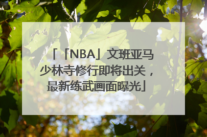 「NBA」文班亚马少林寺修行即将出关，最新练武画面曝光