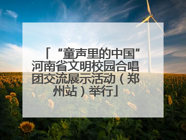 “童声里的中国”河南省文明校园合唱团交流展示活动（郑州站）举行