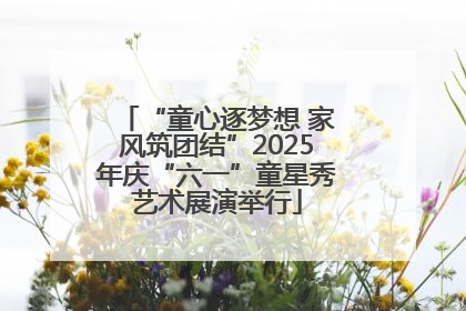 “童心逐梦想 家风筑团结”2025年庆“六一”童星秀艺术展演举行