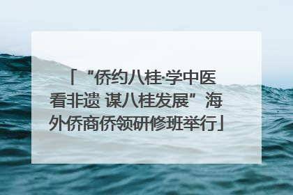 “侨约八桂·学中医 看非遗 谋八桂发展”海外侨商侨领研修班举行