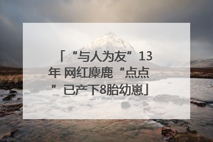 “与人为友”13年 网红麋鹿“点点”已产下8胎幼崽