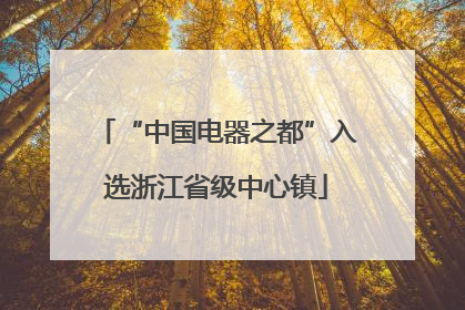 “中国电器之都”入选浙江省级中心镇