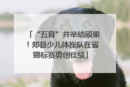 “五育”并举结硕果！郏县少儿体操队在省锦标赛勇创佳绩