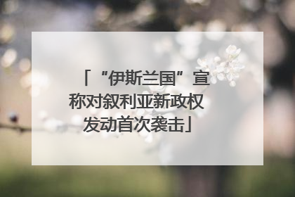 “伊斯兰国”宣称对叙利亚新政权发动首次袭击
