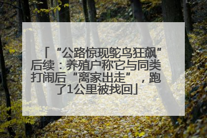 “公路惊现鸵鸟狂飙”后续：养殖户称它与同类打闹后“离家出走”，跑了1公里被找回