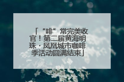 “啡”常完美收官！第二届黄海明珠・凤凰城市咖啡季活动圆满结束