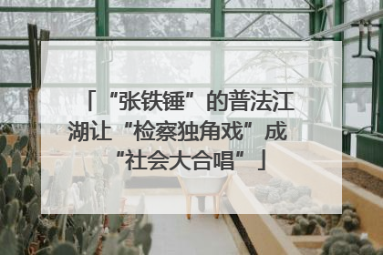 “张铁锤”的普法江湖让“检察独角戏”成“社会大合唱”
