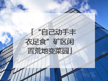 “自己动手丰衣足食”矿区闲置荒地变菜园