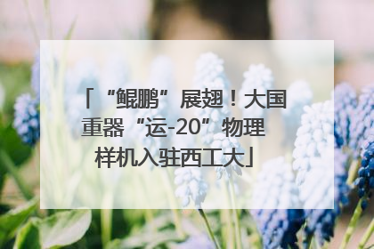 “鲲鹏”展翅！大国重器“运-20”物理样机入驻西工大