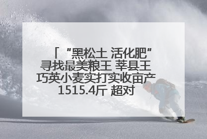 “黑松土 活化肥”寻找最美粮王 莘县王巧英小麦实打实收亩产1515.4斤 超对照田144斤！