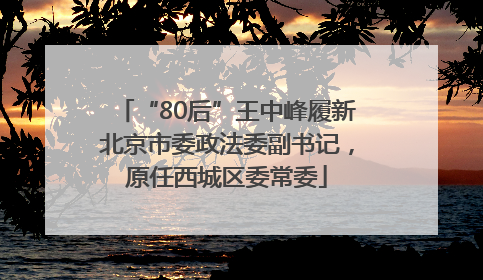 “80后”王中峰履新北京市委政法委副书记，原任西城区委常委