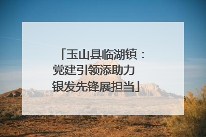 玉山县临湖镇：党建引领添助力 银发先锋展担当