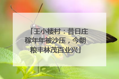 王小楼村：昔日庄稼年年被沙压，今朝粮丰林茂百业兴