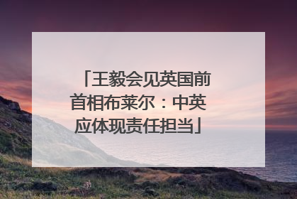 王毅会见英国前首相布莱尔：中英应体现责任担当