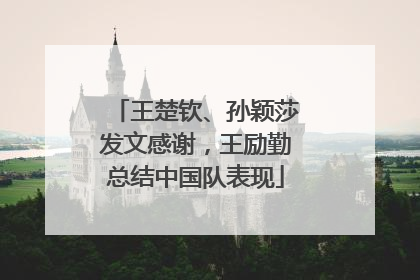 王楚钦、孙颖莎发文感谢，王励勤总结中国队表现