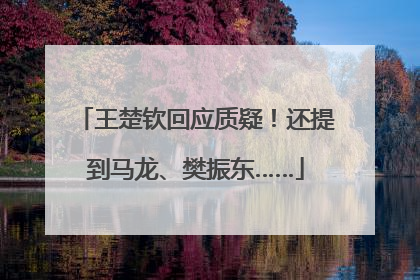 王楚钦回应质疑！还提到马龙、樊振东……