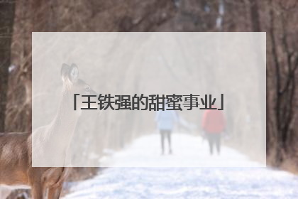 王铁强的甜蜜事业