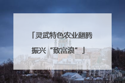 灵武特色农业翻腾振兴“致富浪”