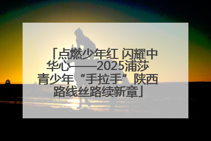 点燃少年红 闪耀中华心——2025浦莎青少年“手拉手”陕西路线丝路续新章