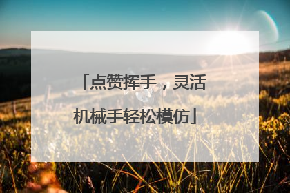 点赞挥手，灵活机械手轻松模仿