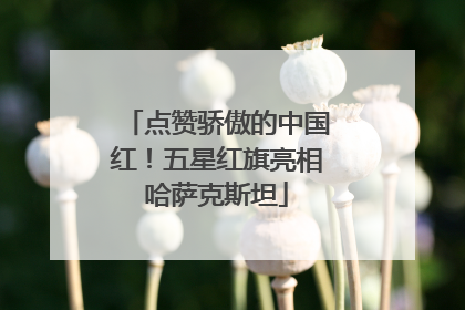 点赞骄傲的中国红！五星红旗亮相哈萨克斯坦