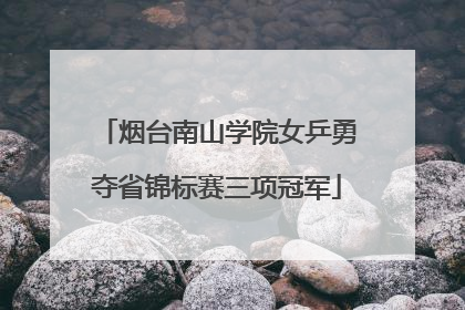 烟台南山学院女乒勇夺省锦标赛三项冠军