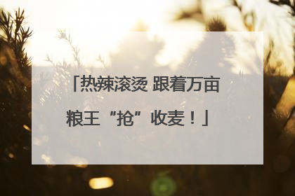 热辣滚烫 跟着万亩粮王“抢”收麦！