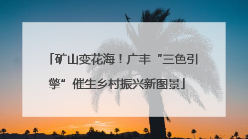 矿山变花海！广丰“三色引擎”催生乡村振兴新图景