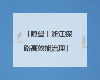 瞭望丨浙江探路高效能治理