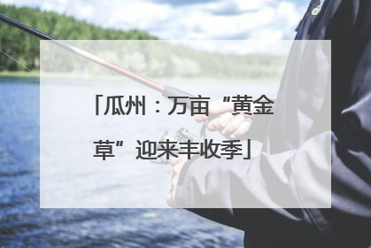 瓜州：万亩“黄金草”迎来丰收季