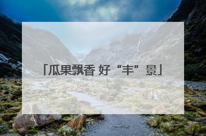 瓜果飘香 好“丰”景