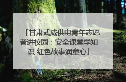 甘肃武威供电青年志愿者进校园：安全课堂学知识 红色故事润童心