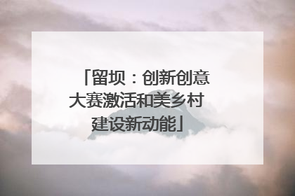 留坝：创新创意大赛激活和美乡村建设新动能