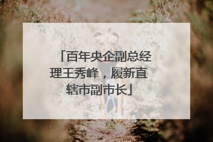 百年央企副总经理王秀峰，履新直辖市副市长