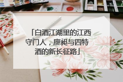 白酒江湖里的江西守门人，廖昶与四特酒的新长征路