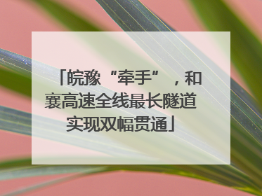 皖豫“牵手”，和襄高速全线最长隧道实现双幅贯通