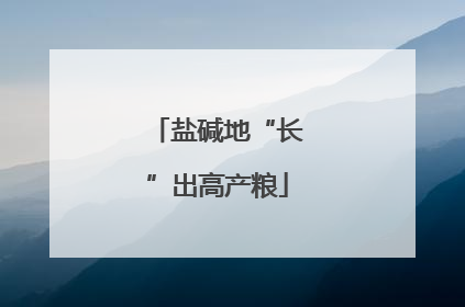 盐碱地“长”出高产粮