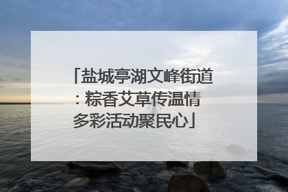 盐城亭湖文峰街道：粽香艾草传温情 多彩活动聚民心