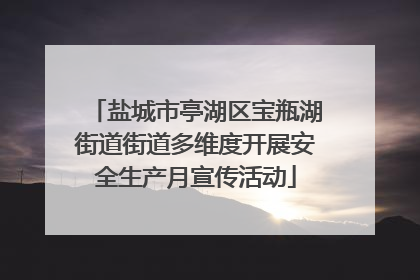 盐城市亭湖区宝瓶湖街道街道多维度开展安全生产月宣传活动