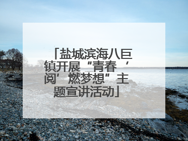 盐城滨海八巨镇开展“青春‘阅’燃梦想”主题宣讲活动