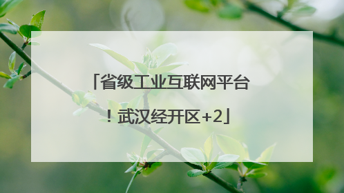 省级工业互联网平台！武汉经开区+2