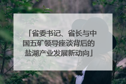 省委书记、省长与中国五矿领导座谈背后的盐湖产业发展新动向