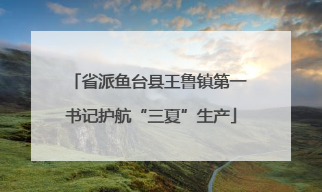 省派鱼台县王鲁镇第一书记护航“三夏”生产