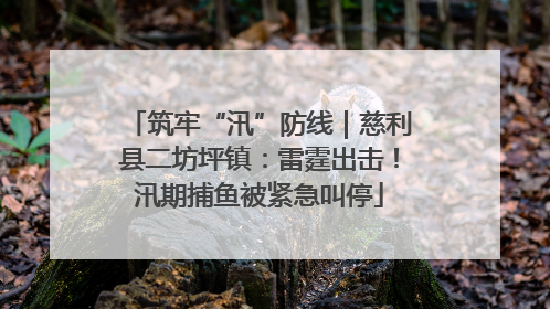 筑牢“汛”防线｜慈利县二坊坪镇：雷霆出击！汛期捕鱼被紧急叫停