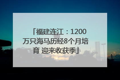 福建连江：1200万只海马历经8个月培育 迎来收获季