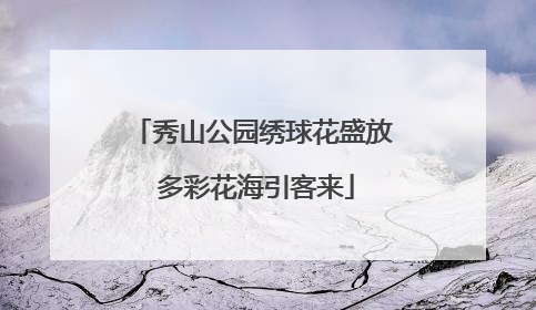 秀山公园绣球花盛放 多彩花海引客来